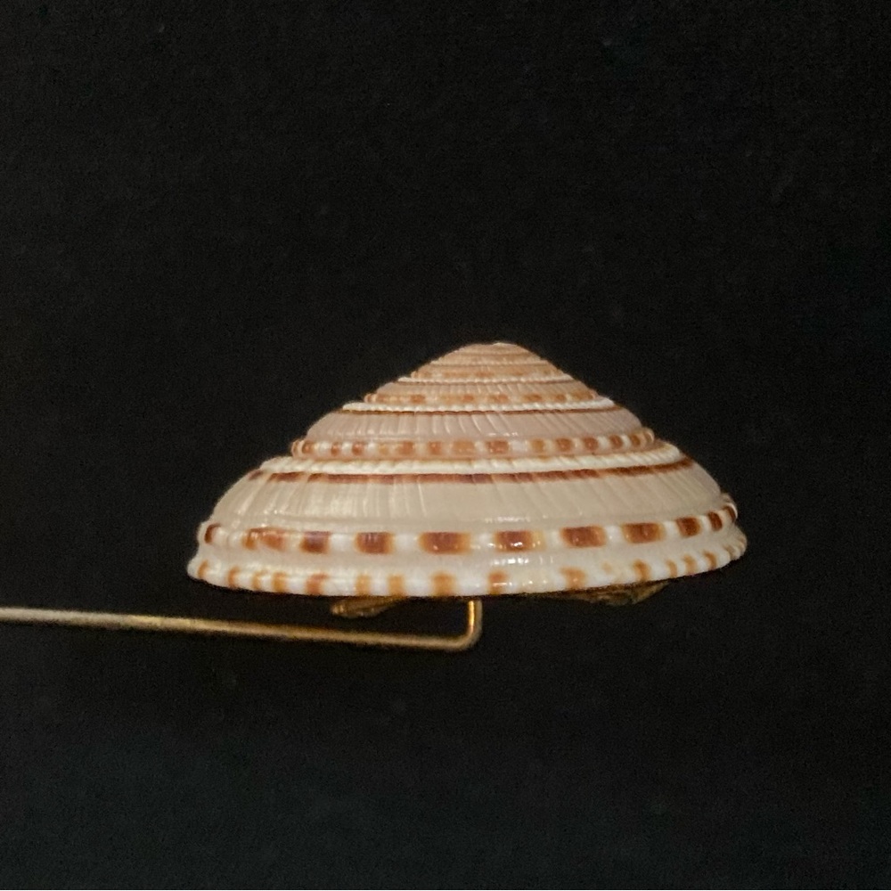 Miriam Haskell Vintage Nautilus Shell Stick Pin 3" - image 6
